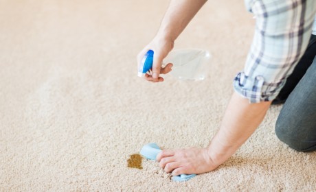 women working hard trying to remove stain from carpet women working hard trying to remove stain from carpet